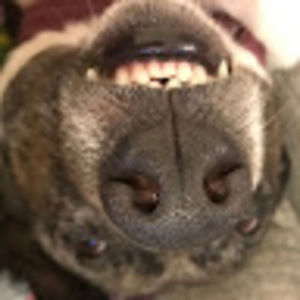 Meet your Posher, Becky